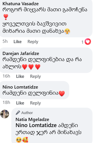 ბათუმიდან გავრცელებული კადრები ნახვების რეკორდს ხსნის – ვიდეო იხილეთ კომენტარებში - ფოტო 2